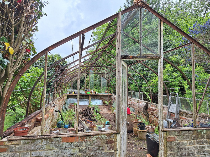 Greenhouse Revival