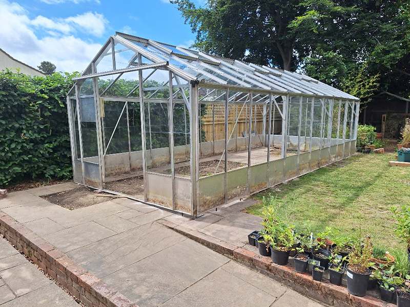Greenhouse Revival